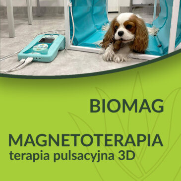 Terapia pulsacyjna 3D – co to jest?