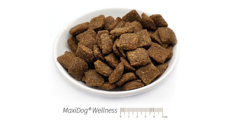 maxidog-wellness